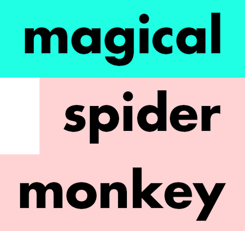 Magical Spider Monkey